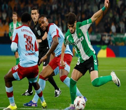 大乐透期号,专家质合分,析推荐,VSports,V体育,V体育入口,V体育官网,V体育APP下载